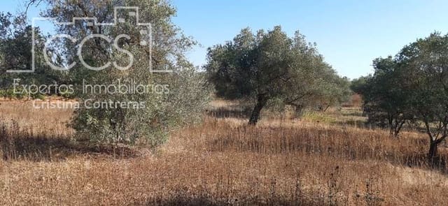 Building Plot for sale in Almonte - € 65,000 (Ref: 6329040)