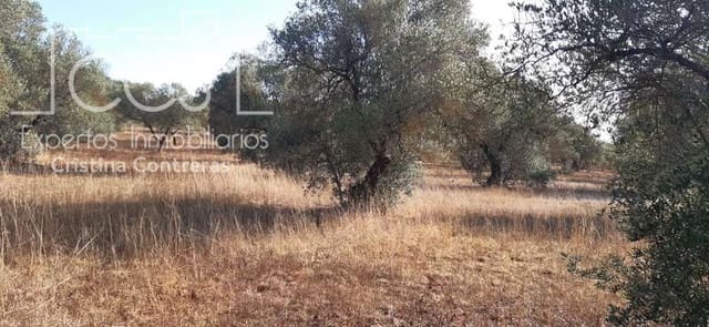 Building Plot for sale in Almonte - € 65,000 (Ref: 6329040)