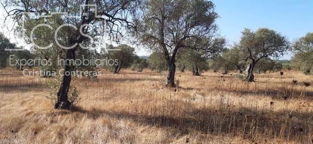 Building Plot for sale in Almonte - € 65,000 (Ref: 6329040)