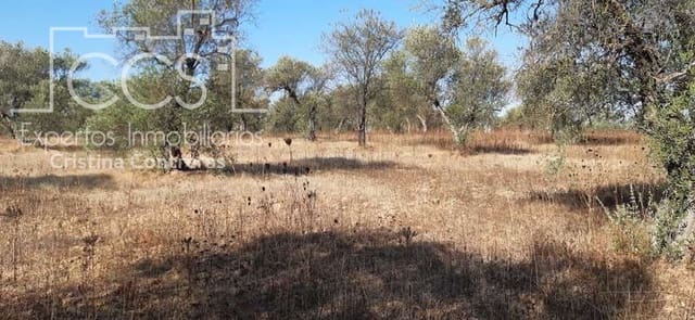 Building Plot for sale in Almonte - € 65,000 (Ref: 6329040)