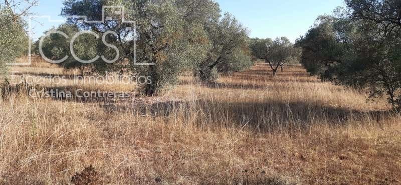 Byggetomt til salgs i Almonte - € 65 000 (Ref: 6329040)