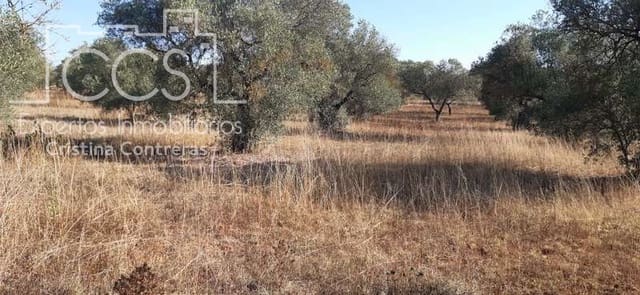 Building Plot for sale in Almonte - € 65,000 (Ref: 6329040)