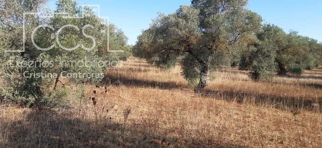 Building Plot for sale in Almonte - € 65,000 (Ref: 6329040)