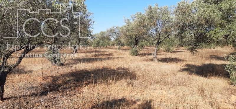 Byggetomt til salgs i Almonte - € 65 000 (Ref: 6329040)