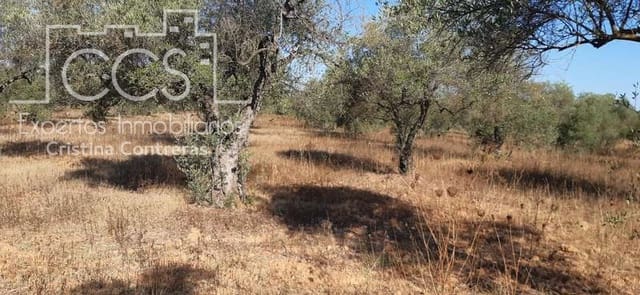 Building Plot for sale in Almonte - € 65,000 (Ref: 6329040)