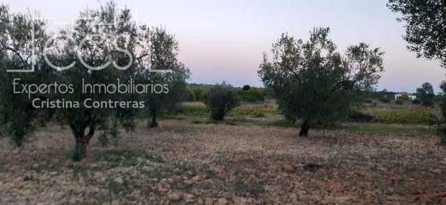 Building Plot for sale in Almonte - € 15,000 (Ref: 6423702)