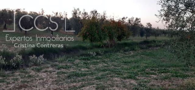 Building Plot for sale in Almonte - € 15,000 (Ref: 6423702)