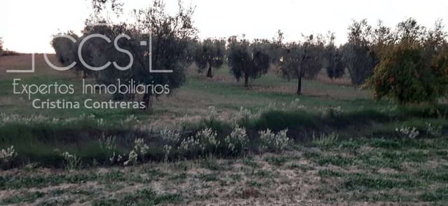 Building Plot for sale in Almonte - € 15,000 (Ref: 6423702)