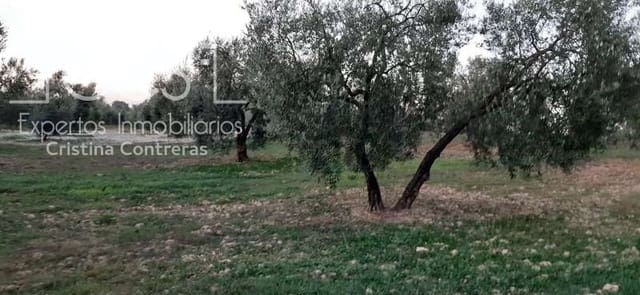 Building Plot for sale in Almonte - € 15,000 (Ref: 6423702)