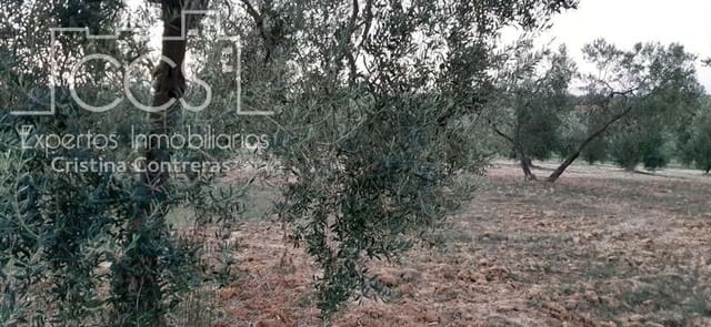 Building Plot for sale in Almonte - € 15,000 (Ref: 6423702)