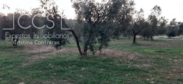 Building Plot for sale in Almonte - € 15,000 (Ref: 6423702)