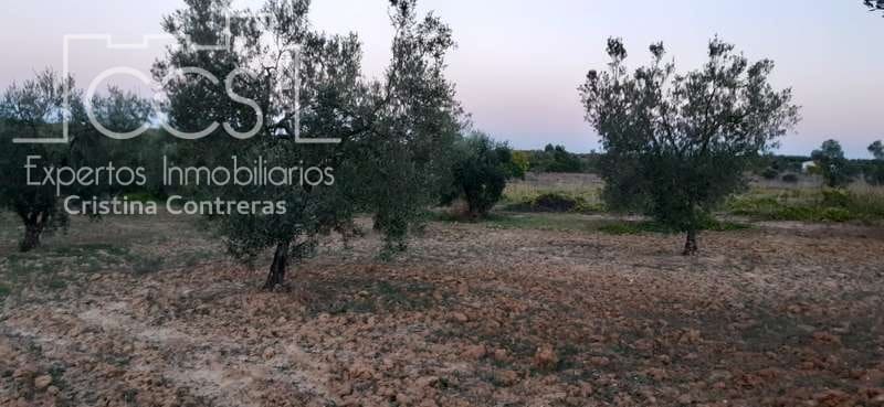 Building Plot for sale in Almonte - € 16,000 (Ref: 6423702)