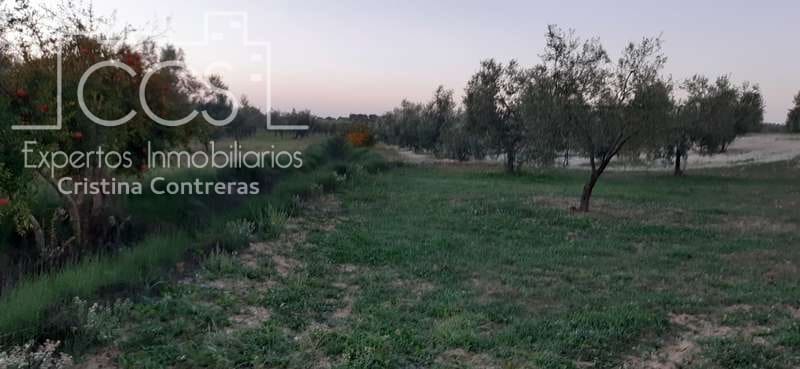 Building Plot for sale in Almonte - € 16,000 (Ref: 6423702)