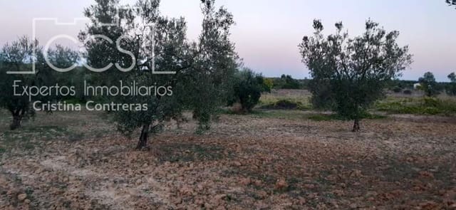 Terrain à Bâtir à vendre à Almonte - 16 000 € (Ref: 6423702)