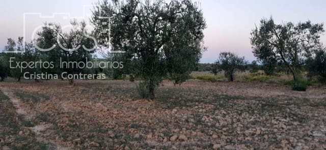 Terrain à Bâtir à vendre à Almonte - 16 000 € (Ref: 6423702)