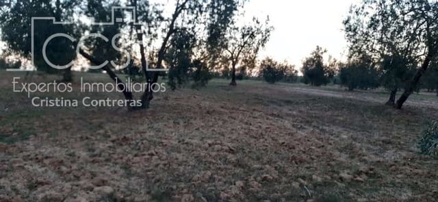 Terrain à Bâtir à vendre à Almonte - 16 000 € (Ref: 6423702)