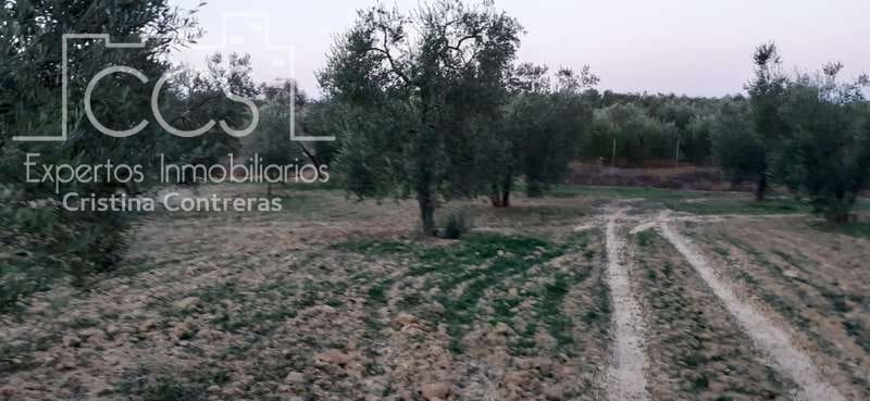 Building Plot for sale in Almonte - € 16,000 (Ref: 6423702)