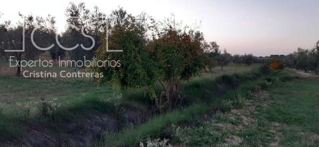 Finca/Maison de Campagne à vendre à Almonte - 18 000 € (Ref: 6431178)