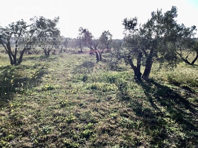 Finca/Maison de Campagne à vendre à Almonte - 18 000 € (Ref: 6431178)