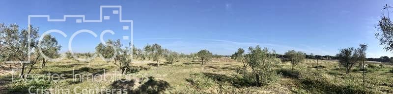 Finca/Maison de Campagne à vendre à Almonte - 18 000 € (Ref: 6431178)