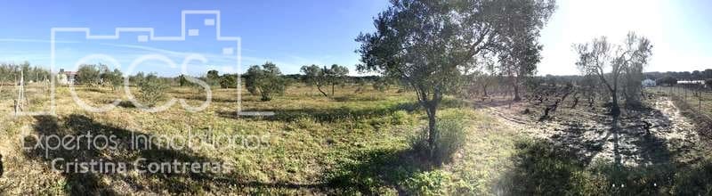 Finca/Maison de Campagne à vendre à Almonte - 18 000 € (Ref: 6431178)