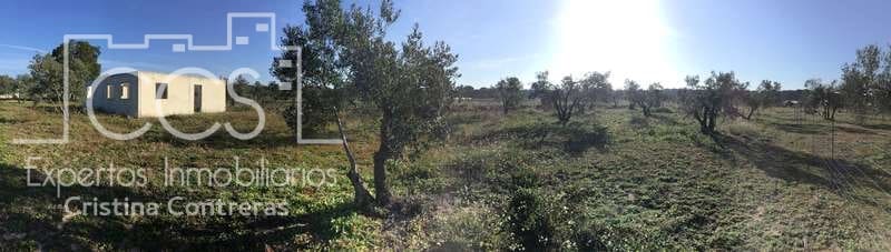 Finca/Maison de Campagne à vendre à Almonte - 18 000 € (Ref: 6431178)