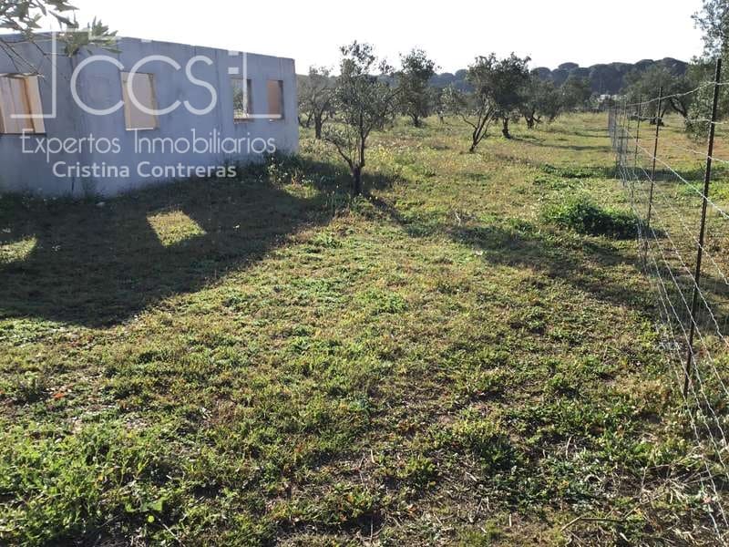 Finca/Maison de Campagne à vendre à Almonte - 18 000 € (Ref: 6431178)