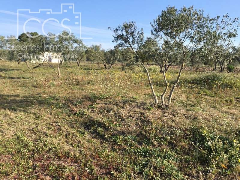 Finca/Maison de Campagne à vendre à Almonte - 18 000 € (Ref: 6431178)