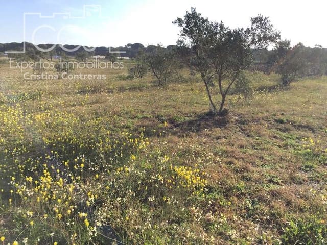Finca/Herregård til salgs i Almonte - € 16 000 (Ref: 6431178)