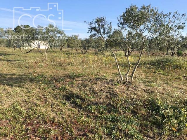 Finca/Herregård til salgs i Almonte - € 16 000 (Ref: 6431178)