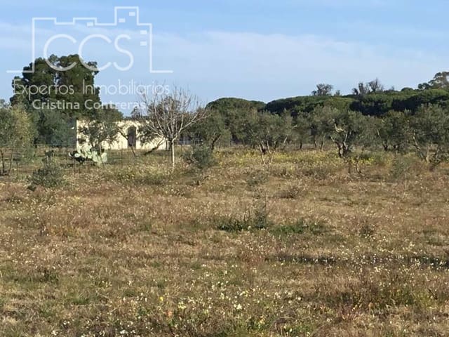 Finca/Herregård til salgs i Almonte - € 16 000 (Ref: 6431178)