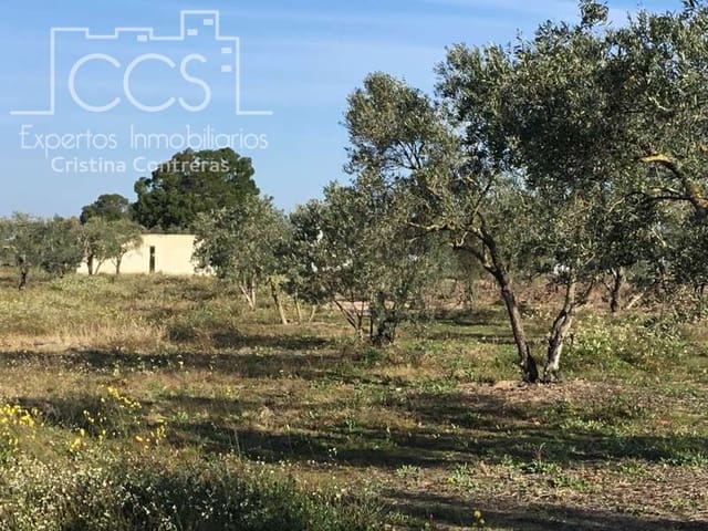 Finca/Herregård til salgs i Almonte - € 16 000 (Ref: 6431178)