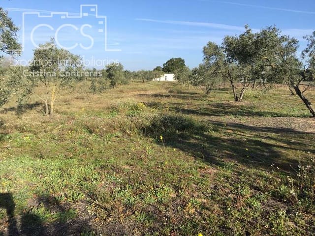Finca/Herregård til salgs i Almonte - € 16 000 (Ref: 6431178)