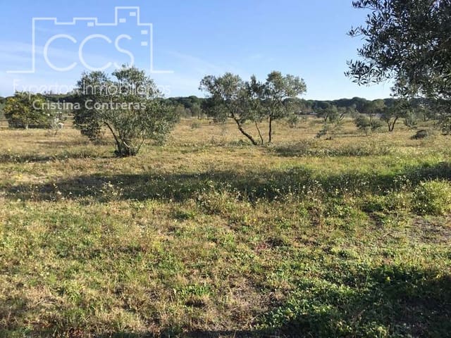 Finca/Herregård til salgs i Almonte - € 16 000 (Ref: 6431178)