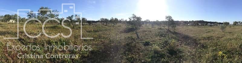Finca/Country House for sale in Almonte - € 16,000 (Ref: 6431178)