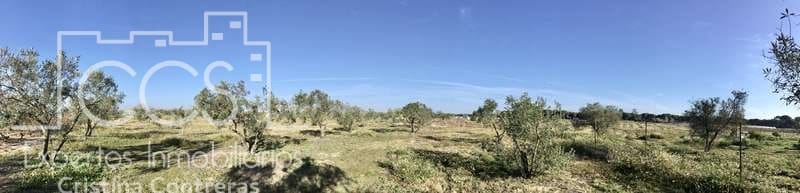 Finca/Country House for sale in Almonte - € 16,000 (Ref: 6431178)