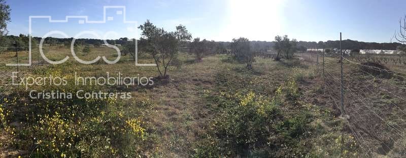 Finca/Country House for sale in Almonte - € 16,000 (Ref: 6431178)