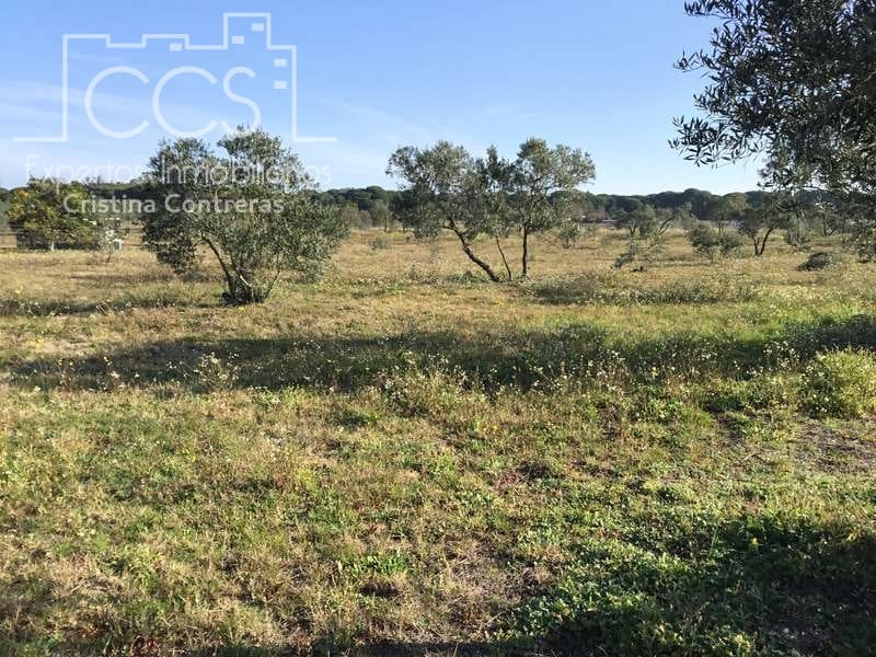 Finca/Country House for sale in Almonte - € 16,000 (Ref: 6431178)