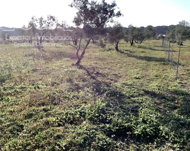 Finca/Country House for sale in Almonte - € 16,000 (Ref: 6431178)