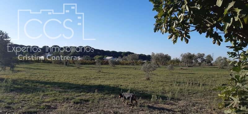 Finca/Country House for sale in Almonte - € 16,000 (Ref: 6431178)