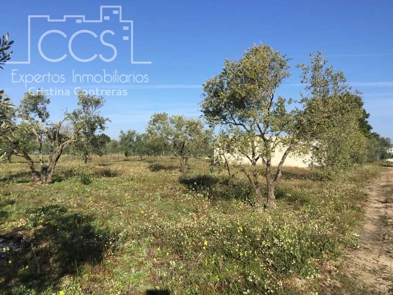 Finca/Country House for sale in Almonte - € 16,000 (Ref: 6431178)