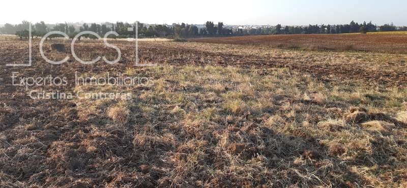 Byggetomt til salgs i Almonte - € 25 000 (Ref: 6467049)