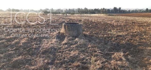 Building Plot for sale in Almonte - € 25,000 (Ref: 6467049)