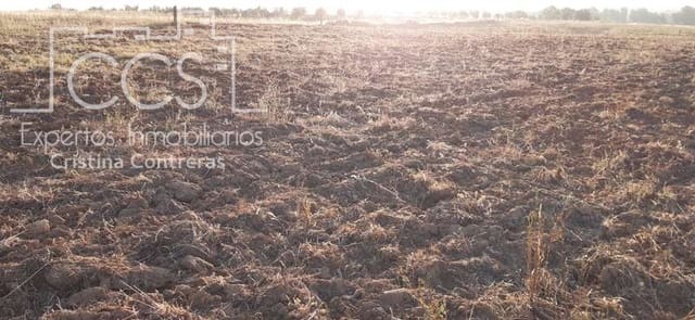 Building Plot for sale in Almonte - € 25,000 (Ref: 6467049)