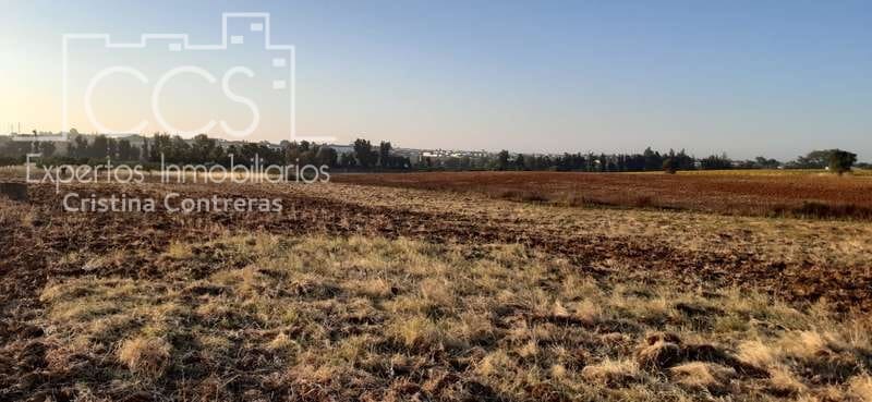Terrain à Bâtir à vendre à Almonte - 25 000 € (Ref: 6467049)