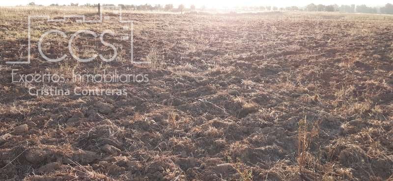 Terrain à Bâtir à vendre à Almonte - 25 000 € (Ref: 6467049)