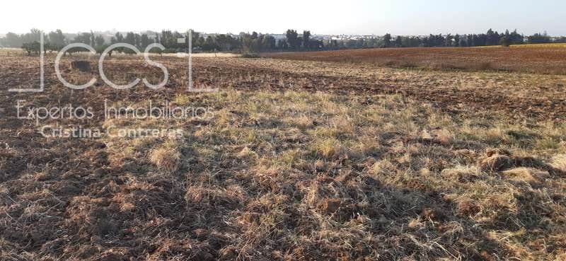 Terrain à Bâtir à vendre à Almonte - 25 000 € (Ref: 6467049)