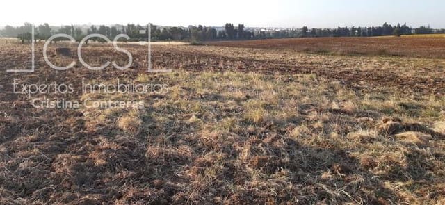 Bouwgrond te koop in Almonte - € 25.000 (Ref: 6467049)