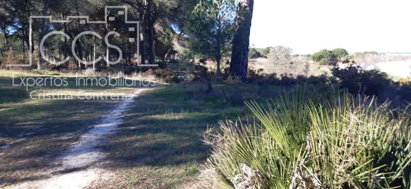 1 soveværelse Finca/Landehus til salg i Almonte - € 38.000 (Ref: 6566991)