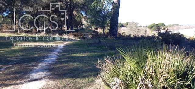 1 camera da letto Finca/Casa di Campagna in vendita in Almonte - 38.000 € (Rif: 6566991)